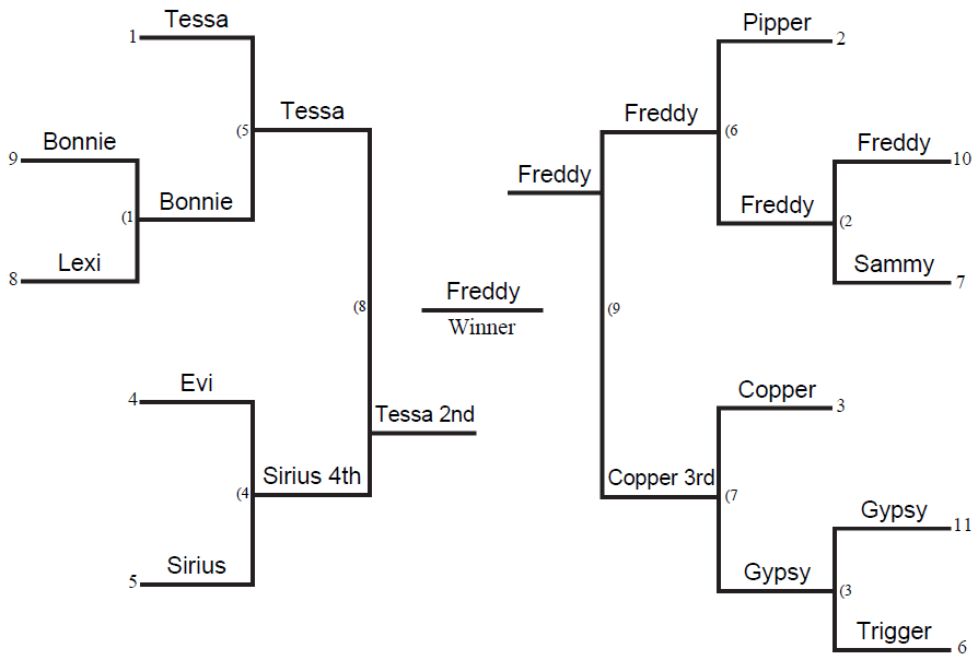 2016 TOC